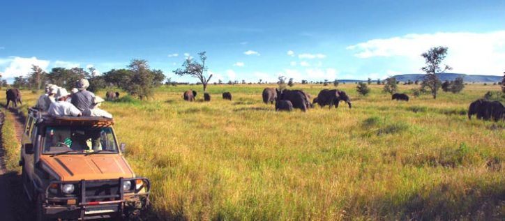 serengeti-safari-home